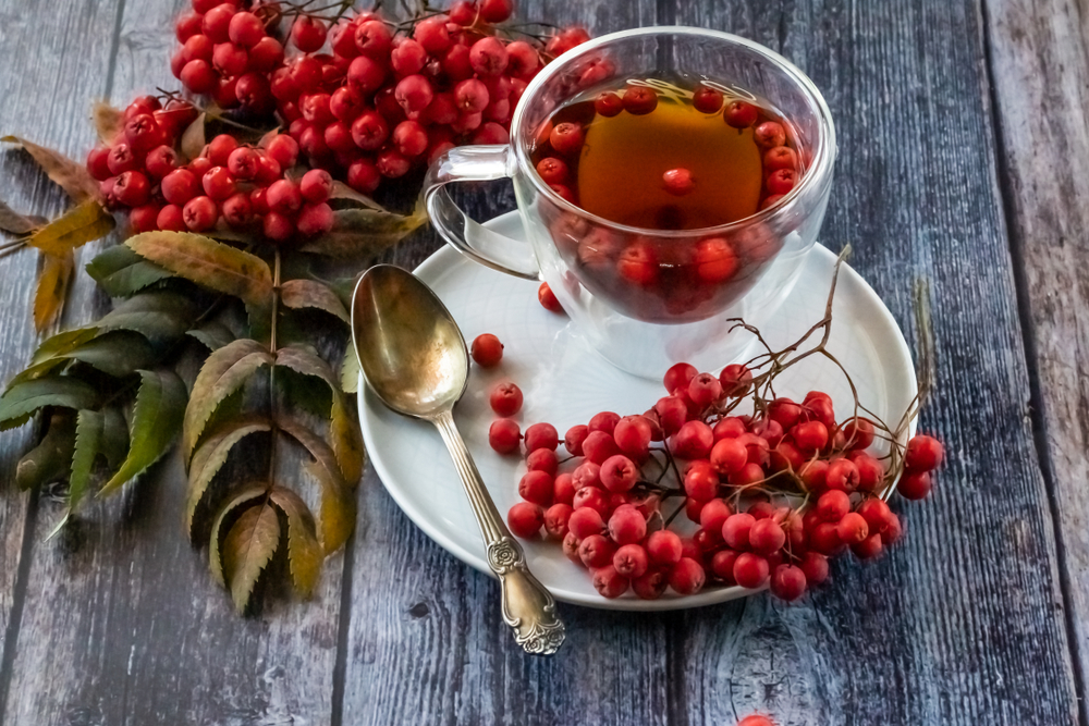 koleszterin csökkentő